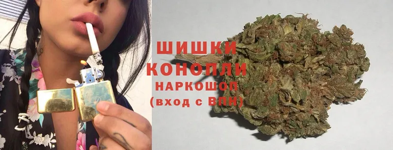 где купить наркотик  Каменногорск  Шишки марихуана THC 21% 